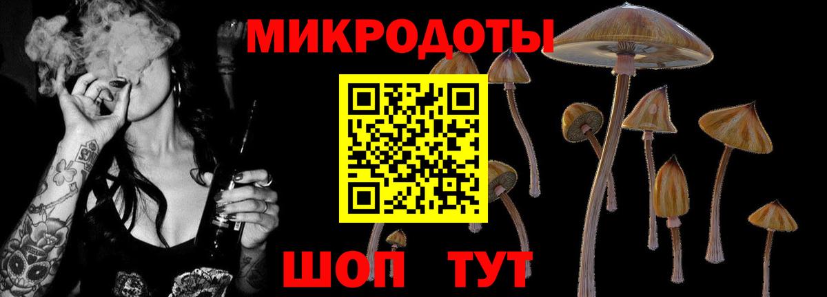 Истра  Галлюциногенные грибы Psilocybine cubensis  Вход с VPN 
